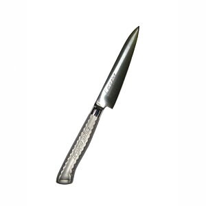 EBM�@E�|pro�@PLUS�@�y�e�B�[�i�C�t�@12cm�@�V���o�[