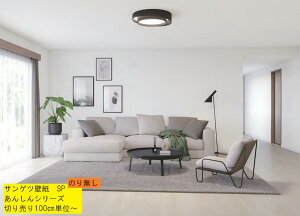 TQc@ǎ@NX@̂薳@hJr@SP@񂵂V[Y