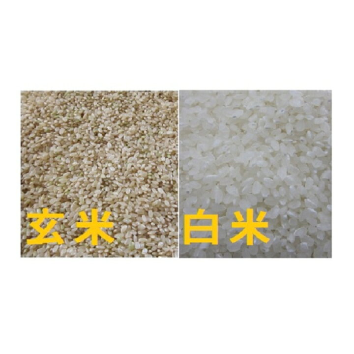 楽天市場】新米 ヒノヒカリ 令和7年産 奈良県産ヒノヒカリお米 30kg 