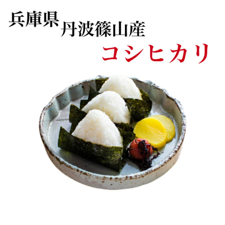 楽天市場】新米 コシヒカリ 令和6年産 丹波篠山コシヒカリ特別  