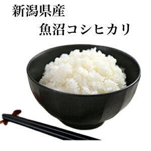 新米コシヒカリ 令和7年産 新潟 魚沼 コシヒカリ お米 10kg 玄米 白米(9kg)送料無料魚沼 こしひかり玄米 から精米 選択可能