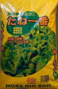 yzˈԁ@܂|y40L@蔲QI X[YȊ