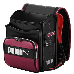 Vĝ͂ PUMA v[} Xs[hX^[(p[Fj hZ AWG[ j̎q Y y v 6NԏCۏ ㎿ v[g ZCo GJoX