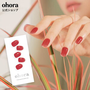 �y�����zN Tint Brick�FNB-067 ohora gelnails nail �I�z�[�� �l�C�� �W�F���l�C�� �l�C���V�[�� �Z���t�l�C�� �l�C���X�e�b�J�[ �W�F���l�C���V�[�� �l�C���f�U�C�� �������l�C��