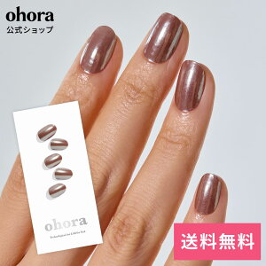 �y�����zN Chocolate Chrome�FNM-010-G/ ohora gelnails nail �I�z�[�� �l�C�� �W�F���l�C�� �l�C���V�[�� �Z���t�l�C�� �l�C���X�e�b�J�[ �W�F���l�C���V�[�� �l�C���f�U�C�� �������l�C��