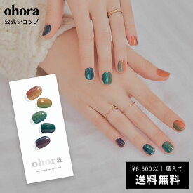 【公式】N Autumn Ombre：ND-017-G/ ohora gelnails nail オホーラ ネイル ジェルネイル ネイルシール セルフネイル ネイルステッカー おうちネイル ネイルデザイン ジェルネイルシール ネイルステッカー ネイルオイル ネイルパーツ ネイルチップ カラージェル