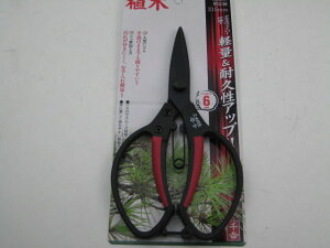 g@A@215~SGFP-3 yRCPz