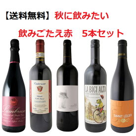【送料無料】秋に飲みたい♪飲みごたえ赤ワイン5本セット　飲み比べ　ワインセット　プレゼント　ギフト　赤ワインセット　誕生日　記念日