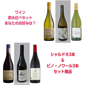 【送料無料】世界のピノ・ノワール/シャルドネ飲み比べ6本セット