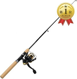 【楽天ランキング1位入賞】釣竿セットコンパクトロッド スピニングリール ロッド全長100cm ライン付き ゴールドロッドケース付き (ゴールド, 100cm)