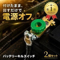 【楽天ランキング1位入賞】バッテリー キルスイッチ D端子 切る ターミナル オン オフ カット 2個セット