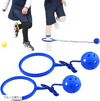 楽天市場】skip hop スキップホップ ジャンパルーの通販