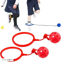 楽天市場】skip hop スキップホップ ジャンパルーの通販