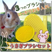 楽天市場】うさぎ用品の通販