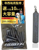 鉛 フリーリグ フリーリグシンカー 大容量 (シルバー, 20g 20個)