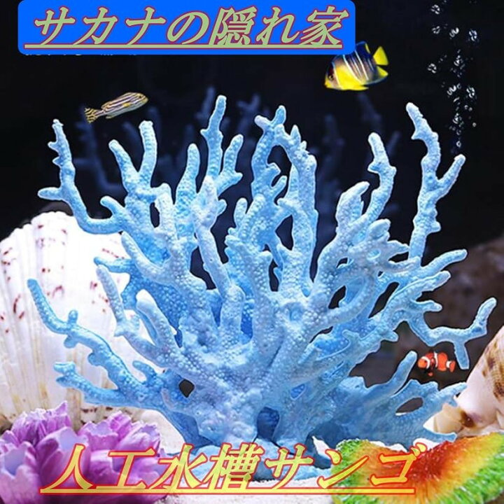 楽天市場】【楽天ランキング1位入賞】サンゴ 珊瑚 礁 アクアリウム 