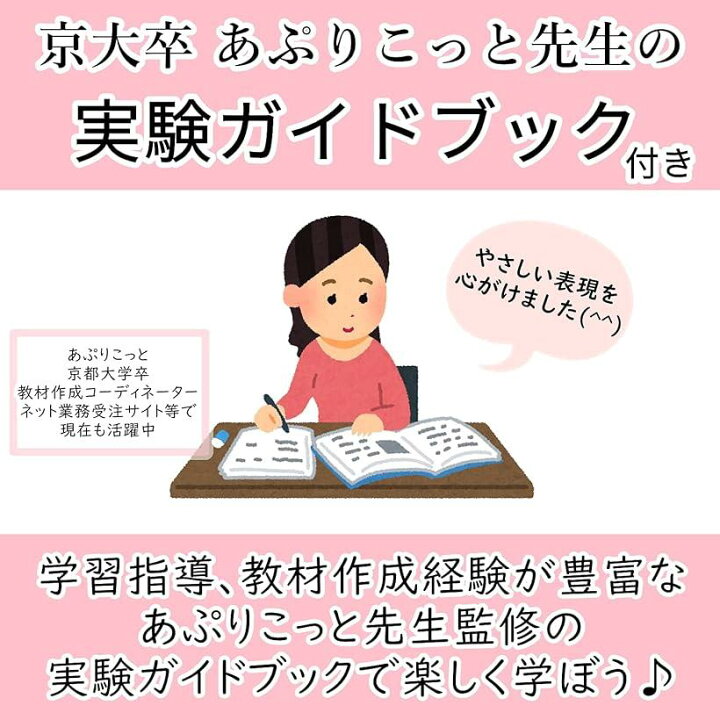 楽天市場 小学生 理科 電気実験キット 豆電球実験セット 直列 並列 回路 電磁石 ケース 付き Ohstore
