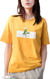 楽天市場 安い カラーtシャツの通販