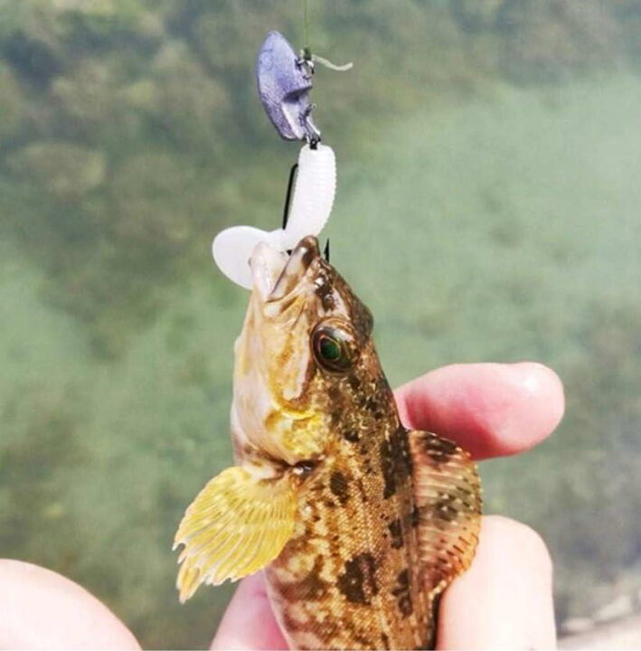 楽天市場 ジョイント ジグヘッド シンカー 6 5g 30個入り 釣りおもり 根魚 ロックフィッシュ ワーム ル アー ジグサビキ 釣り用シーバス フック エギング 小型 川 海 釣り道具 リグ 沈む 鉛 Ohstore