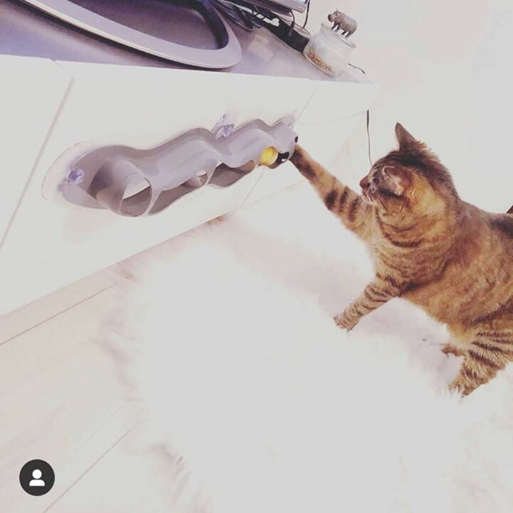 楽天市場 Beaton Japan 猫 おもちゃ ボール ダイエット ひとり遊び 窓 吸盤 グレー 日本 知育玩具 キャットトレイン Ohstore 楽天市場 Beaton Japan 猫 おもちゃ ボール ダイエット ひとり遊び 窓 吸盤 グレー 日本 知育玩具 キャットトレイン Ohstore