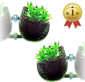 【楽天ランキング1位入賞】アクアリウム 水槽 オーナメント インテリア かくれ家 ガラス 植物 無 ポット 2個( 透明)