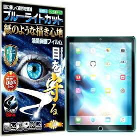 紙のような描き心地 ブルーライトカット 見やすいipad pro 12.9 2015 2017 用 フィルム ペーパー 感覚 保護フィルム (ipad pro 12.9 2015 201)