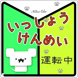 【全品P5倍★～4月17日 9時59分迄】Na7na's Color 車 マグネット ステッカー いっしょうけんめい運転中 初心者マーク 耐水 UVカット 14.8cm (緑)