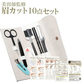 楽天市場 眉毛 テンプレート メンズの通販