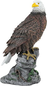 【楽天ランキング1位入賞】害鳥対策 30cm級 鷹 ホーク 置物 スズメ カラス ムクドリ ハト コウモリ の被害激減 デコイ 樹脂製で耐久性 (30cm)