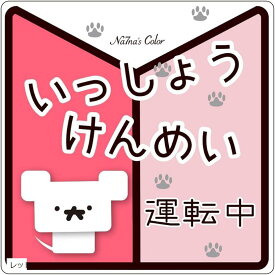 楽天市場 初心者マーク 販売の通販