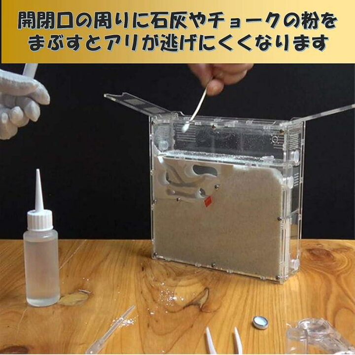 楽天市場 アリの巣観察キット 自由研究 昆虫採集セット 飼育ケース アリ飼育キット 水槽 砂なし Ohstore