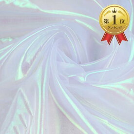 【楽天ランキング1位入賞】オーロラ オーガンジー 生地 2mx150cm 手芸 透明( ホワイト)