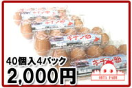 【北海道産】【キチン卵40個（10個入×4パック）】生卵・たまごかけご飯・たまご好きにはたまらない【楽…