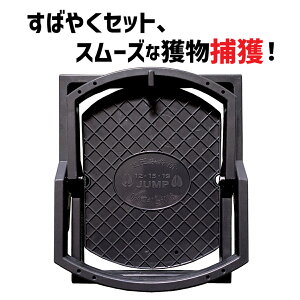 ǔŃWvݔiȂj20ZbgiݔTCY19cmj