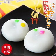 初午祭 名代 しんこまんじゅう 10個入 あんこ餅 佐野名物【 送料無料 和菓子 お取り寄せ 誕生日 スイーツ…