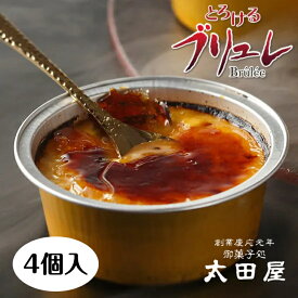 ブリュレ 冷凍 プリン お中元 お取り寄せ スイーツ アイス お誕生 クレームブリュレ お菓子 美味しい 手土産 濃厚 ブリュレ 詰め合わ 送料無料 プチギフト アイスプリン 人気 おしゃれ 可愛い 洋菓子 お取り寄せスイーツ パリパリ 焦がし プリン