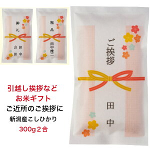 z E yAɂăMtgzVYЂ300g  \ ߏ v`Mtg Ԃ  Mtg v[g lC   