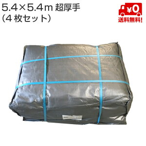 UVVo[V[g 5.4m×5.4m  4000 OTS 4