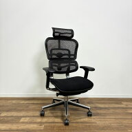 Ergohuman Basic エルゴヒューマンベーシック オフィスチェア ブラック アルミポリッシュフレーム メッシ…