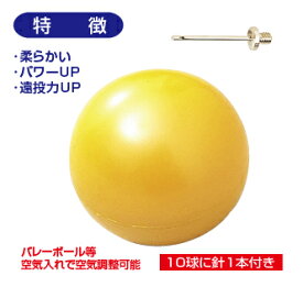 楽天市場 バレーボール ボール 種類 野球 ソフトボール 軟式野球 ボール 野球 ソフトボール スポーツ アウトドアの通販