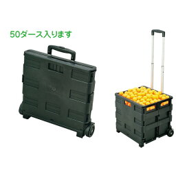 楽天市場 ボールカゴ 卓球の通販