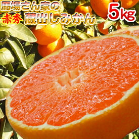 楽天市場 みかん 箱 売りの通販