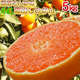 楽天市場 みかん 箱 売りの通販