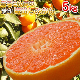 楽天市場 温州みかん 5kgの通販