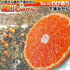 ◆産地直送◆小西さん家の 訳あり 蔵出しミカン 5kg 和歌山 みかん 送料無料（2箱以上購入で送料無料）高級ブランド 無印みかん 和歌山みかん 温州みかん 下津みかん 熟成 ミカン 蜜柑 家庭用 箱売り 甘い 国産