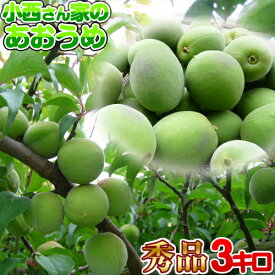 【青梅】小西さん家の青梅 南高梅 【秀品】3kg・6kg・10kg　梅酒・梅ジュース・梅シロップ用2025年度産【産地直送/お取り寄せ】和歌山産 紀州 南高梅！贈り物にも最適な紀州梅！M〜3Lサイズ不全別クール便送料無料 青うめ 生梅