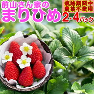大特価セール中！！前山さん家のまりひめ！2/4パック入り 和歌山県産 ブランド苺 まりひめ【秀品】 ボク…