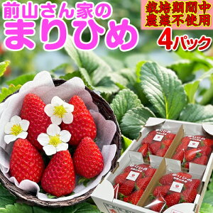 s\̔tORƂ̂܂Ђ߁I2/4pbN a̎RY uh ܂Ђ߁yGiz {ÑC`S S S ͔|Ԓ_sgpI IBYi N[֔zi Mtg 