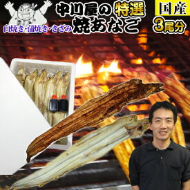 【国産 お試し♪】アナゴ（焼きあなご）中川屋の焼きあなご3尾分!!うなるほど美味いアナゴ料理のこの逸品！鰻の蒲焼きや煮あなごとは違う上品な味！アナゴ料理 国産あなご 焼き あなご 穴子 焼あなご【国内産】 父の日ギフト 贈り物 お歳暮 お中元