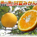 【柑橘 訳あり】2個購入で送料無料！温州みかん 硯さん家の甘夏みかん2kg【夏ミカン】和歌山県産 自然の恵み甘夏みかん産地直送！！ 無農薬みかん！【RCP】02... ランキングお取り寄せ